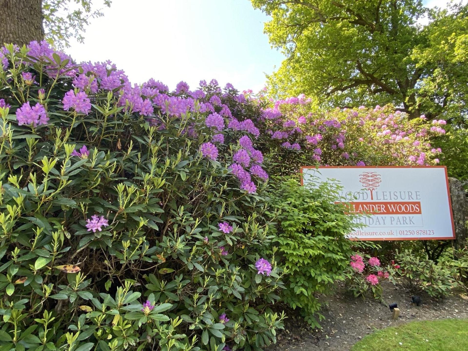 Callander Woods Holiday Park Εξωτερικό φωτογραφία