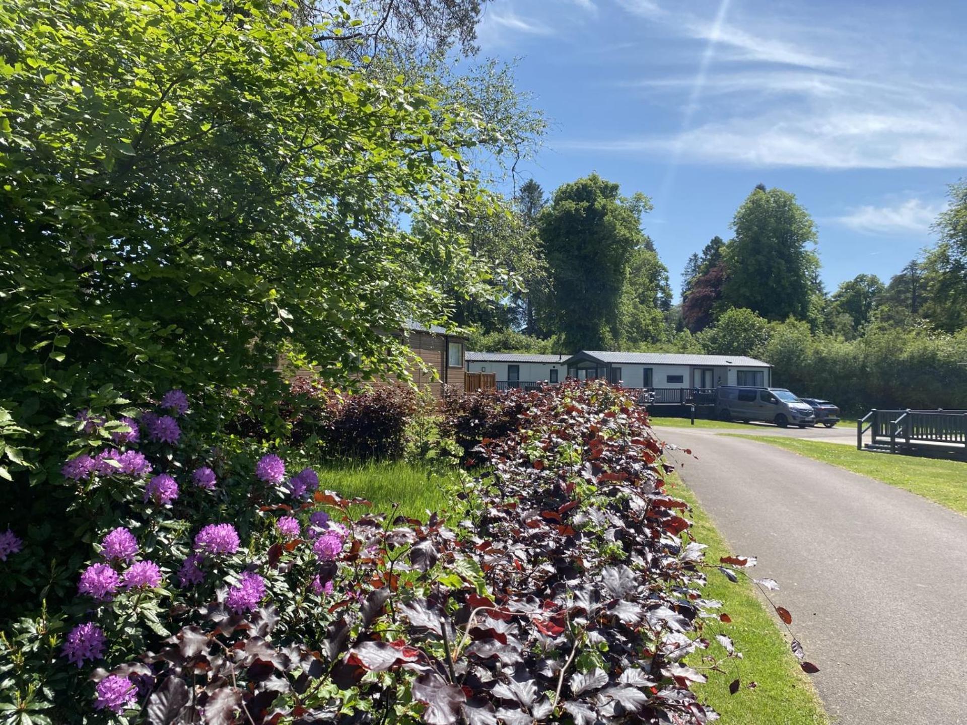 Callander Woods Holiday Park Εξωτερικό φωτογραφία
